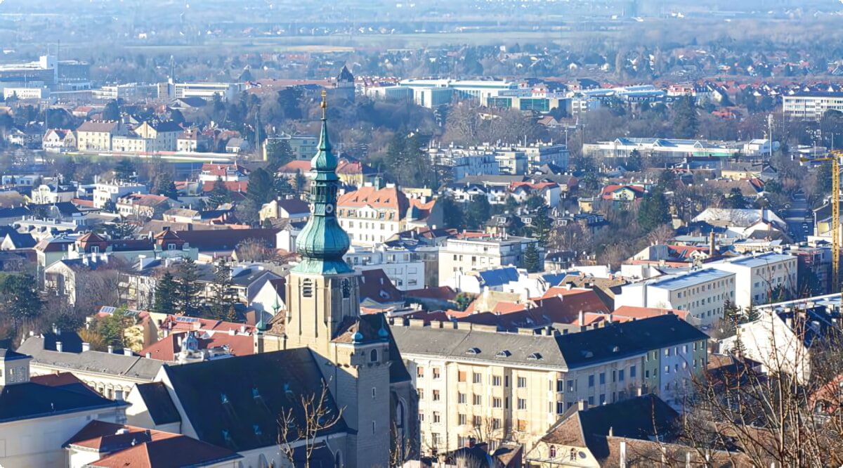 Wat zijn de populairste voertuigkeuzes in Baden bij Wien?